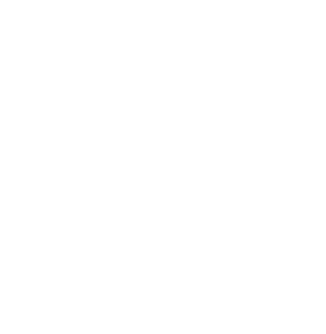 Vion